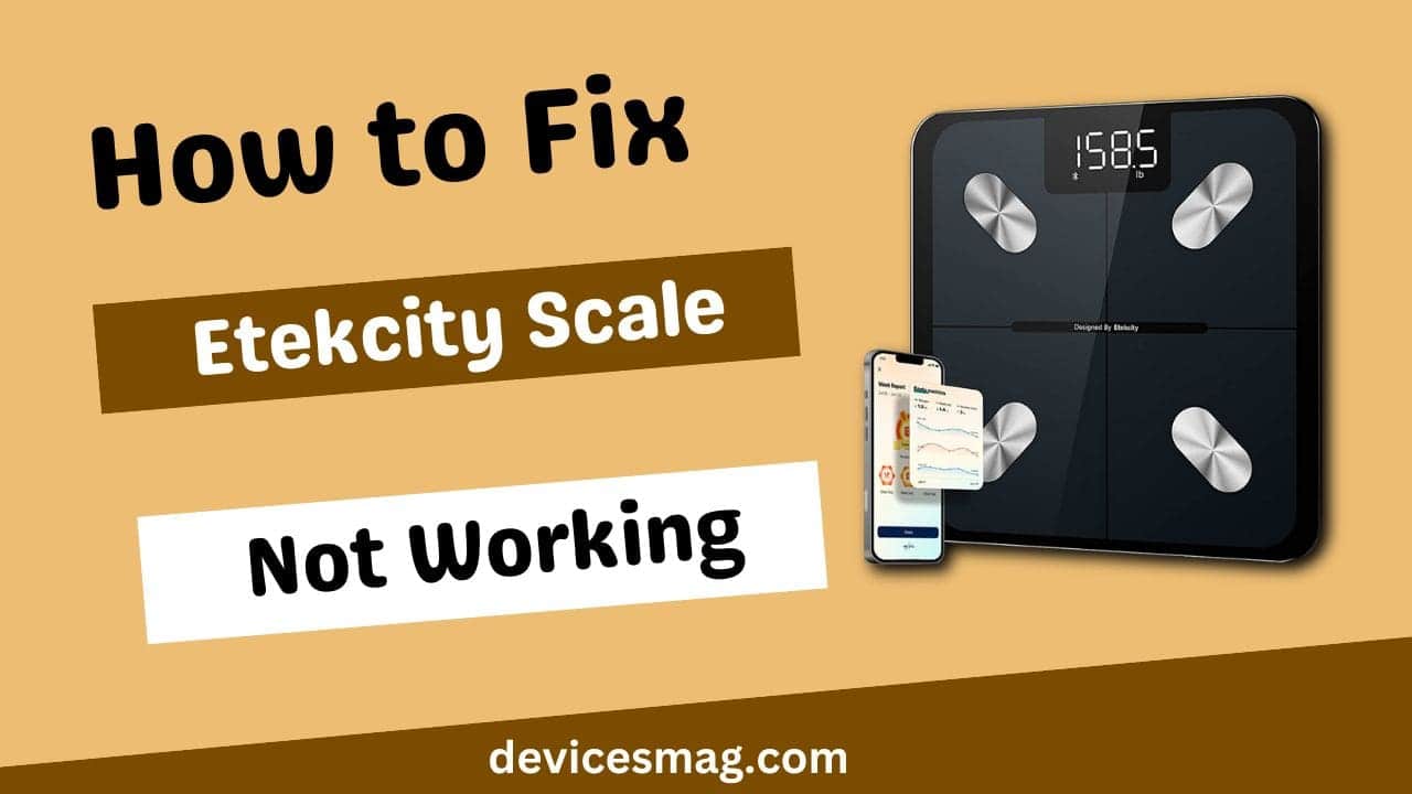 How to Fix Etekcity Scale Not Working